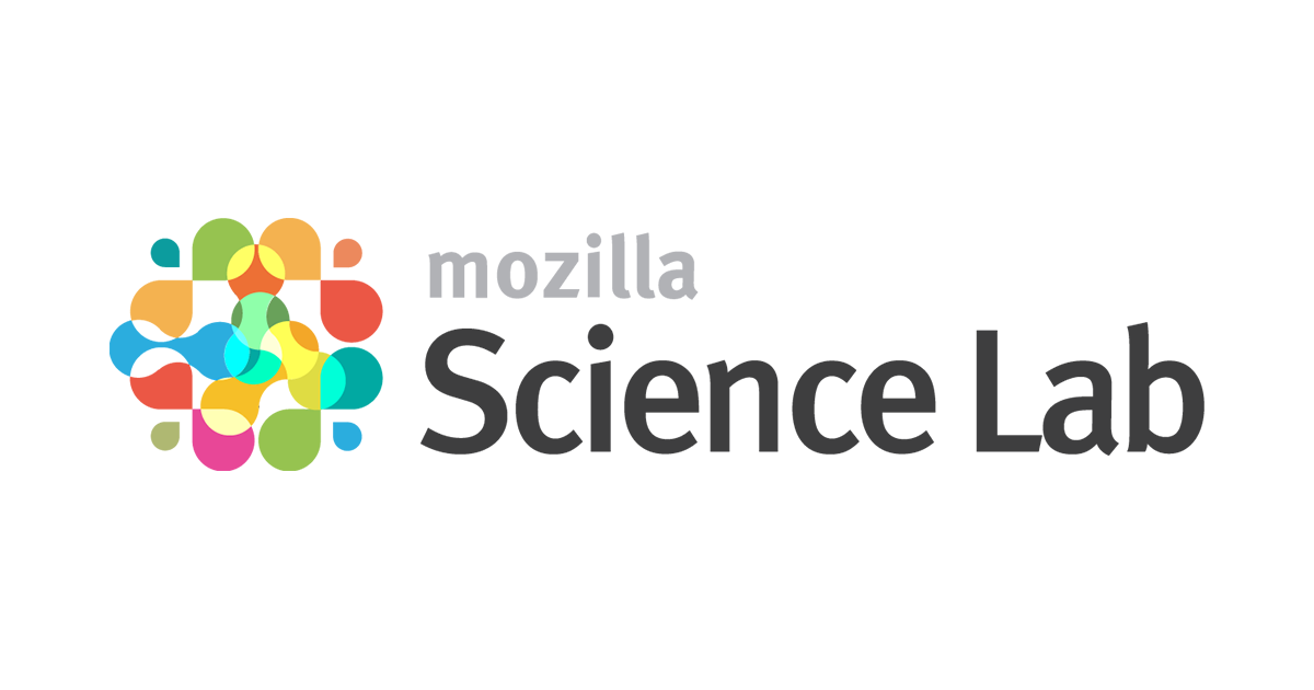 The story behind the Mozilla Fellowship